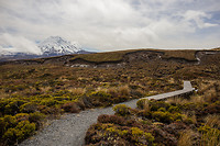 IMG_1427