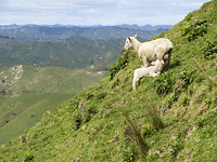IMG_7651