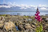 IMG_7703