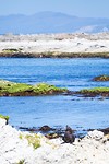 IMG_7769