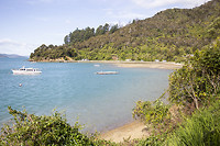 IMG_7959