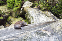 IMG_9169