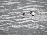 IMG_9186b