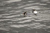 IMG_9186b