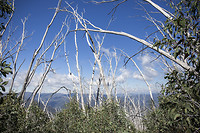IMG_2061