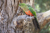 IMG_2402