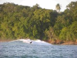 Surfing