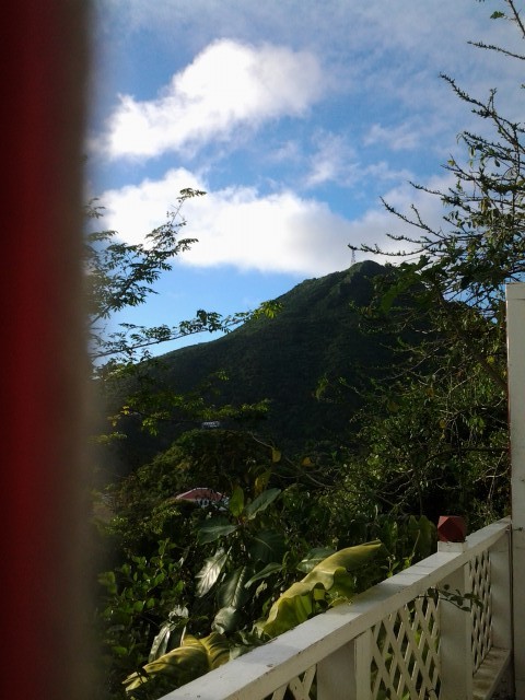 mount cenery