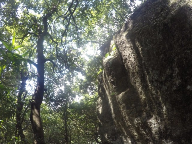 Hike to dharamkot waterfalls