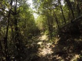Hike to dharamkot waterfalls