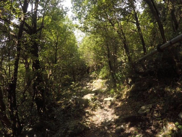 Hike to dharamkot waterfalls