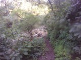 Hike to waterfall