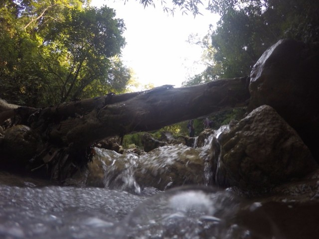 Waterfall