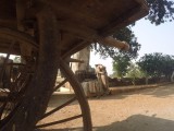 Jain temples
