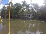 Kerala backwaters