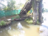 Kerala backwaters
