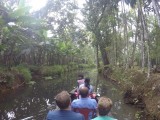 Kerala backwaters