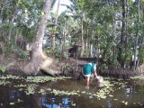 Kerala backwaters