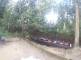 Kerala backwaters