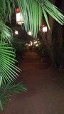 Arca Nova garden