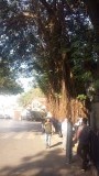 Streets of Mumbai