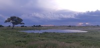 IMG-20200322-WA0006