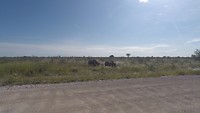 GOPR0086_1584899177305_high