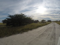 GOPR0170_1584898807707_high