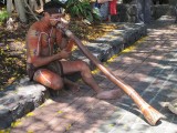 Didgeridoo