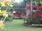 Bromelia