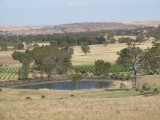 Landschap