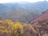 Cradle Mountains