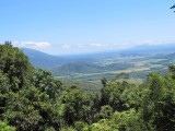 IMG_4706
