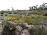 IMG_5186