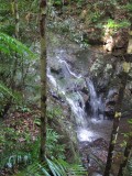 IMG_4339