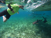Els aan het snorkelen