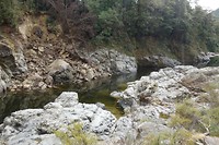 Pelorus Bridge
