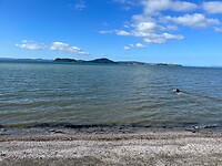 Kust Kawakawa-road