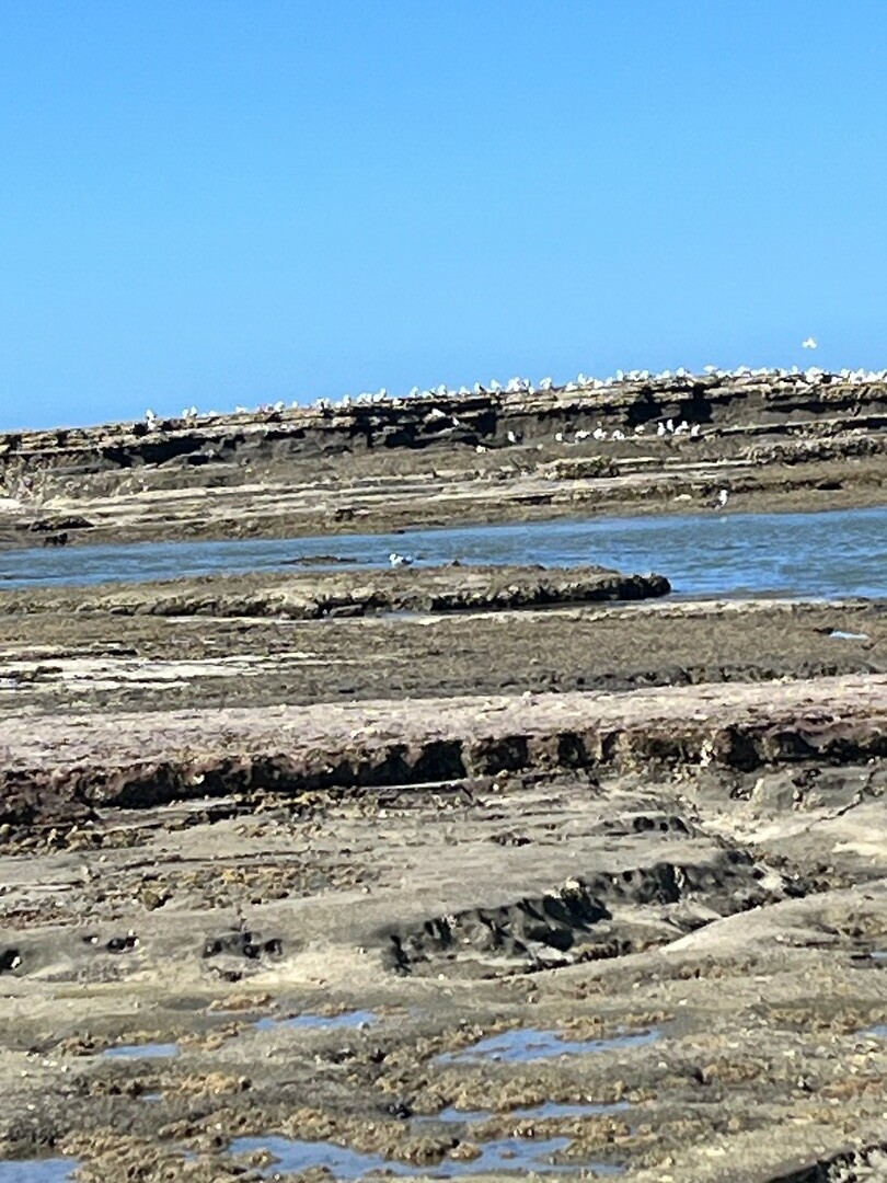 Strand, red beach