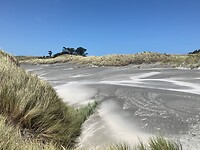 Stuifzand