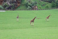 IMG_9753