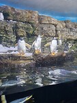 20221117_123209(0)