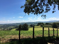 IMG_3543