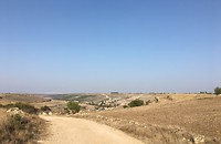IMG_4249