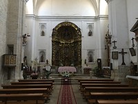 IMG_4251