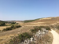 IMG_4254