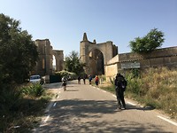 IMG_4255
