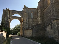 IMG_4256