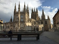 De kathedraal