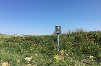 1C002DF6-6034-402Bloem